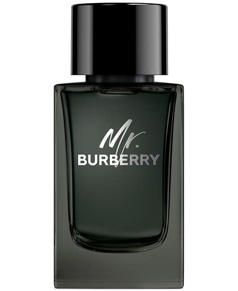 burberry men's mr burberry 5oz edp spray